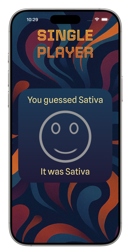 Correct guess